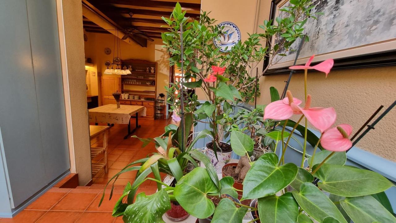 Hotel Torino Masnou Buitenkant foto